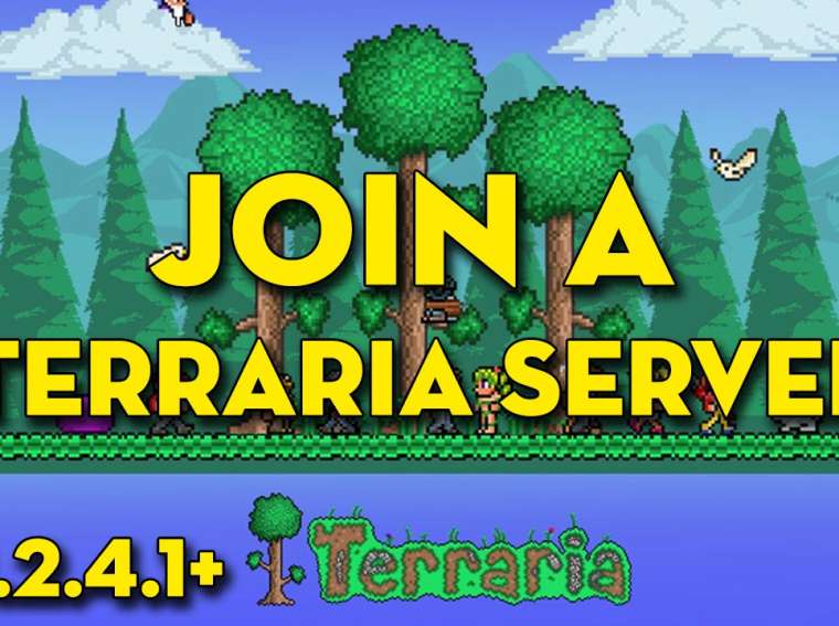 Top Tips For Setting Up a Dedicated Terraria Server