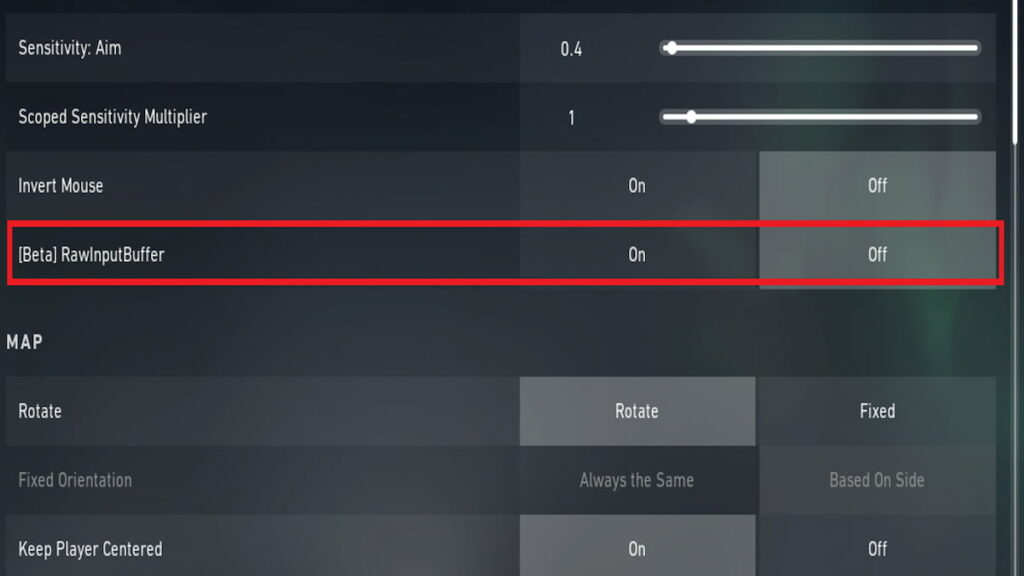 What Is Raw Input Buffer In Valorant?
