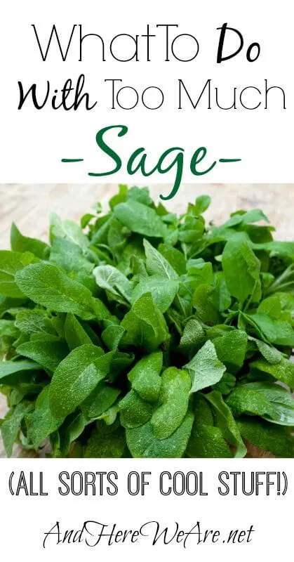 How Much Can Sage Heal Herself?